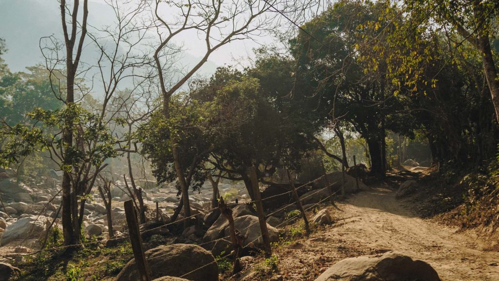 Still from Searching for Capomo — Yelapa