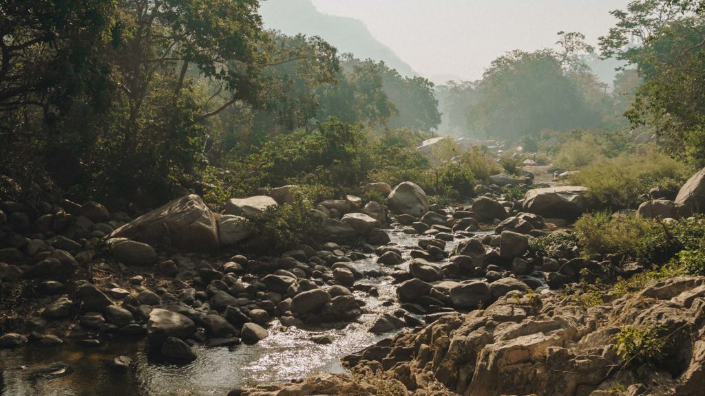 Still from Searching for Capomo — Yelapa