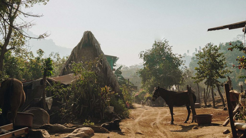 Still from Searching for Capomo — Yelapa