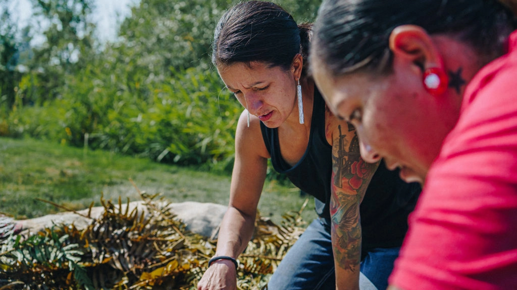 Salish plant and medicine traditions in the Pacific Northwest